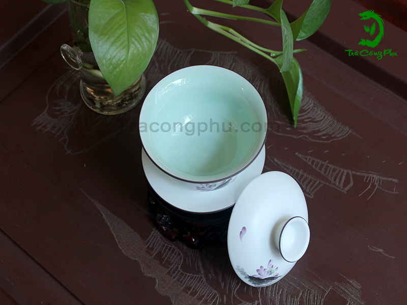 Ấm tống sứ - CN30